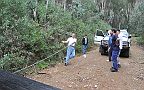 05-Michael tries an alternative way to move the fallen tree